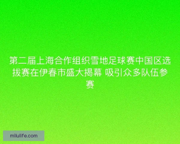 第二届上海合作组织雪地足球赛中国区选拔赛在伊春市盛大揭幕 吸引众多队伍参赛